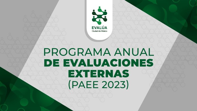 Banner-Programa-Anual-de-Evaluaciones.jpg